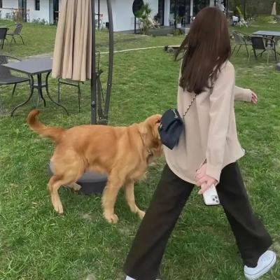 最后的子弹